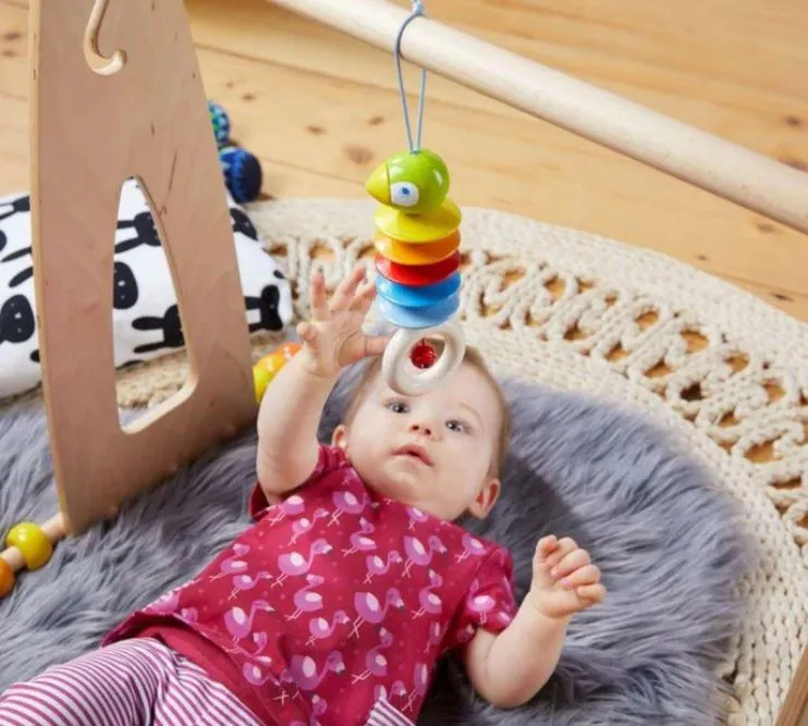 Hanging Parrot for Stroller & Crib Toy