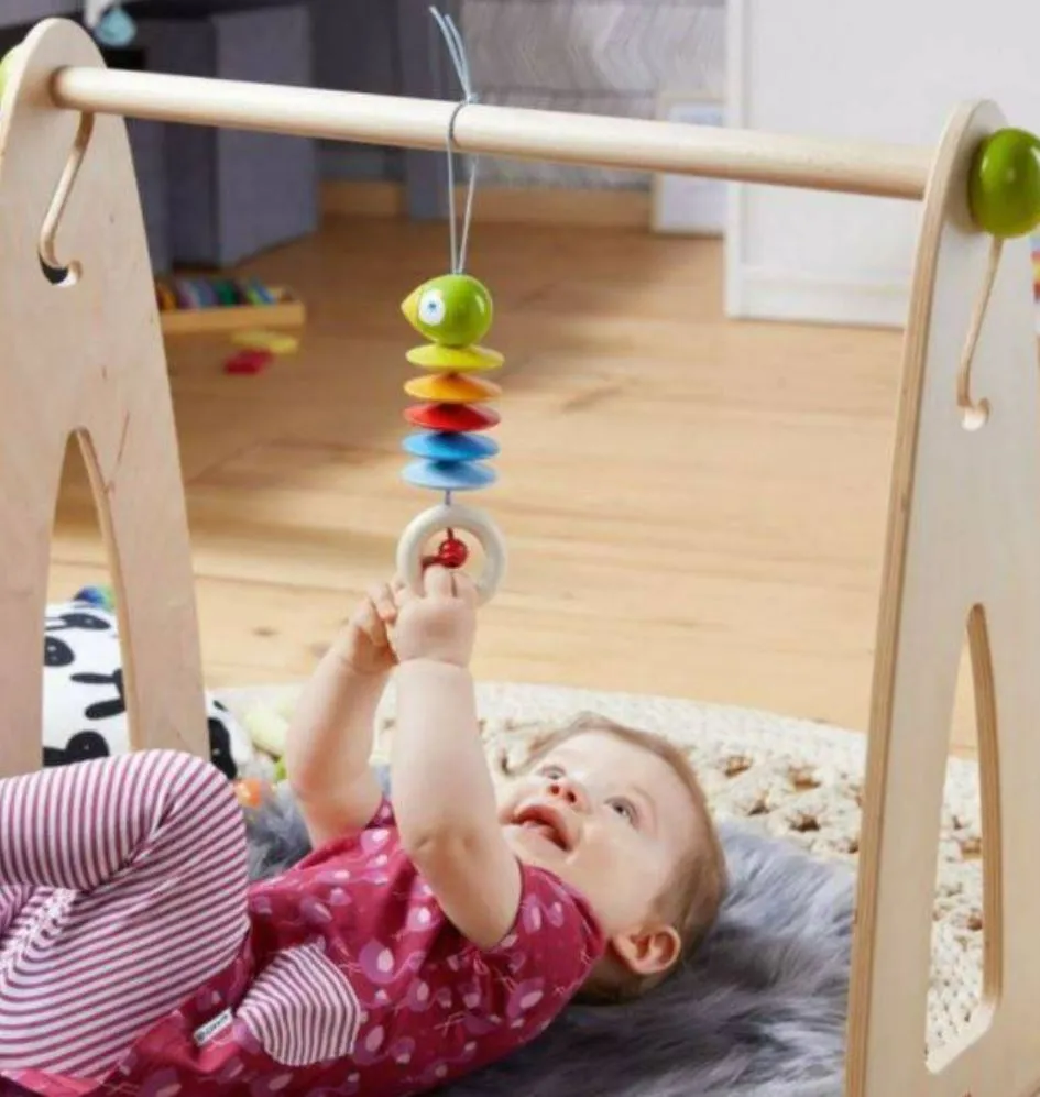 Hanging Parrot for Stroller & Crib Toy
