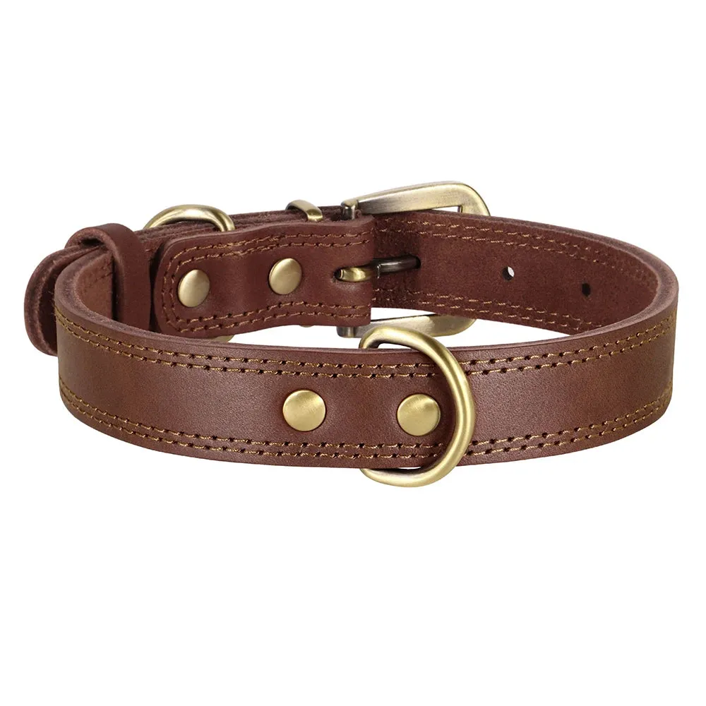 Majestic Genuine Leather Dog Collar