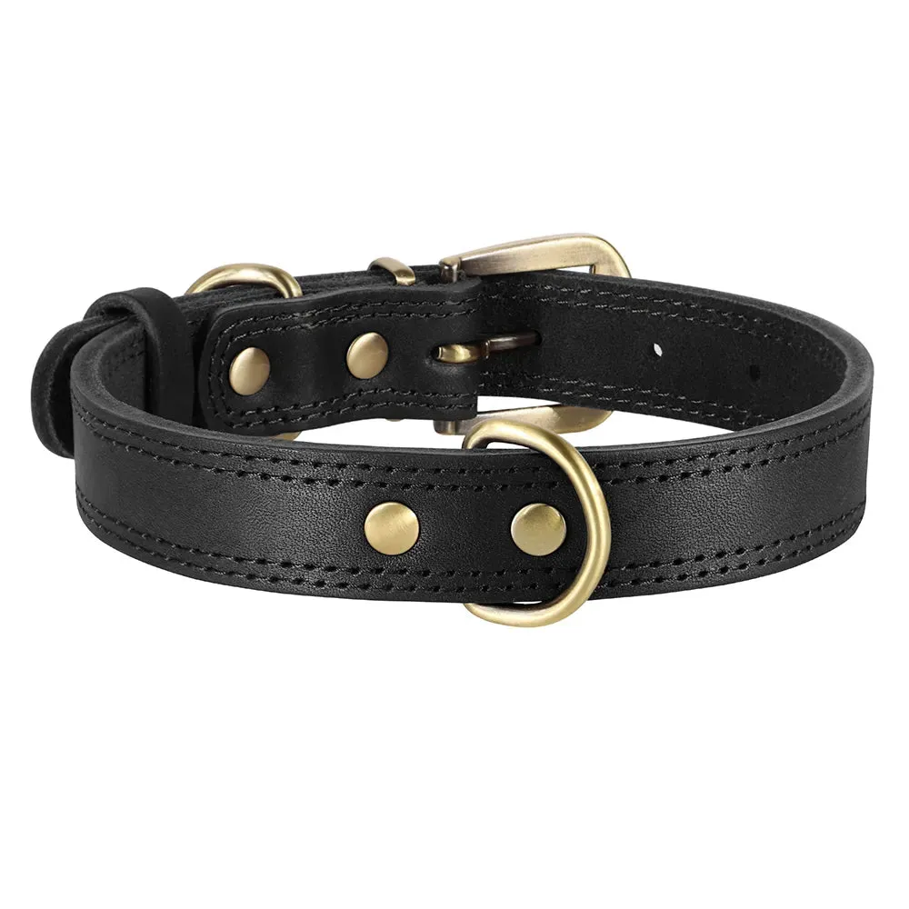Majestic Genuine Leather Dog Collar