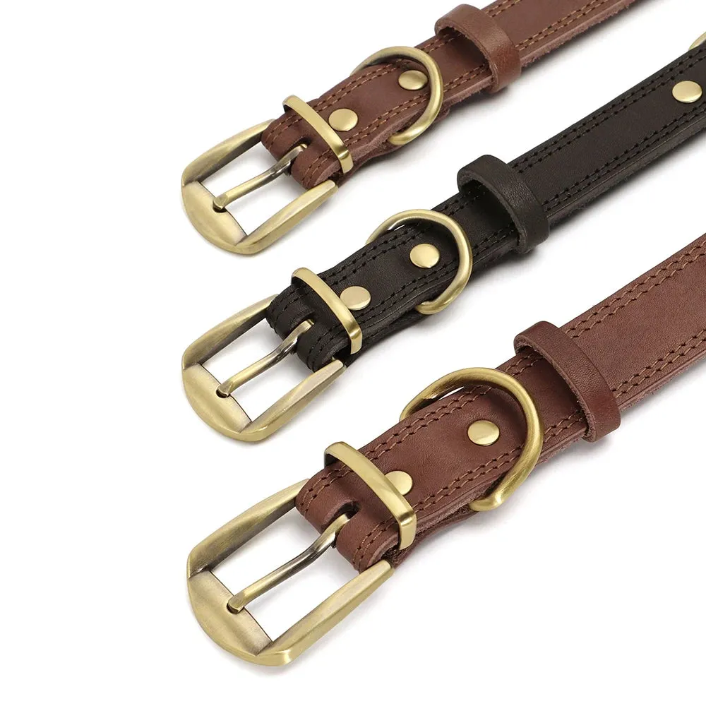 Majestic Genuine Leather Dog Collar