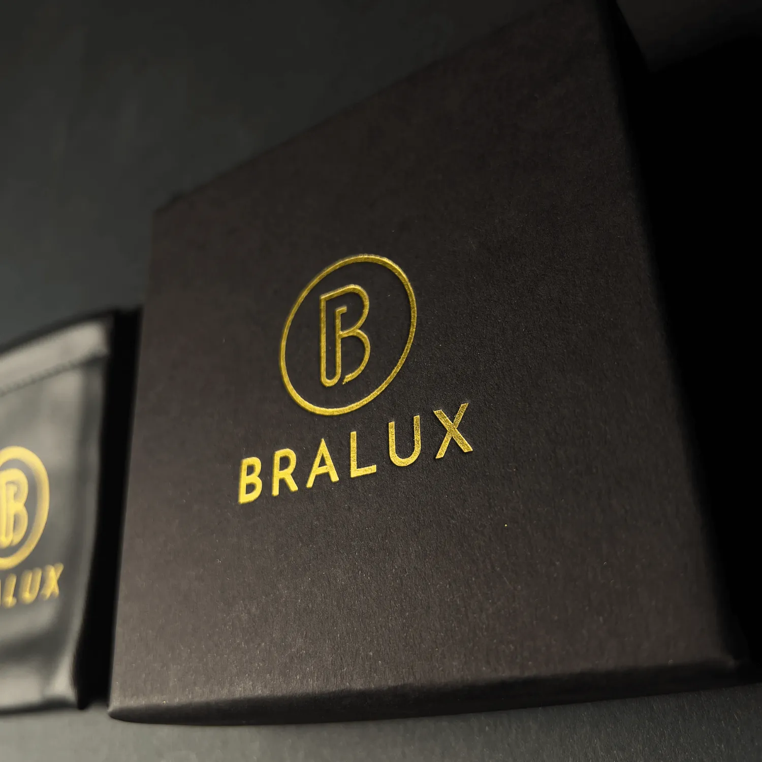 The Black Duo Leather and Gold Plated Buckle